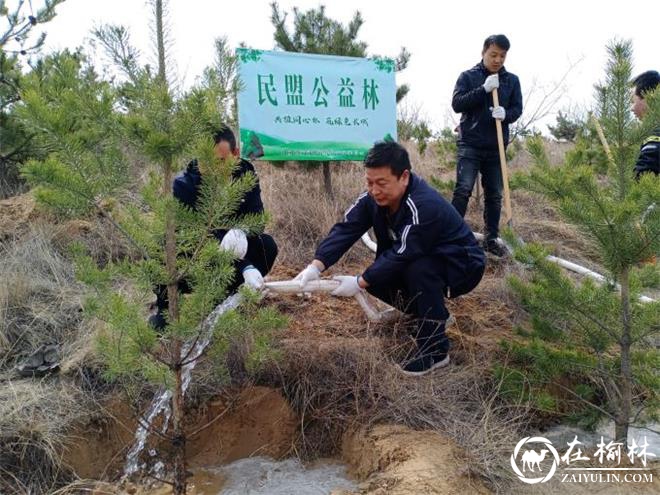 民盟府谷支部：植下同心林 共筑绿色长城 