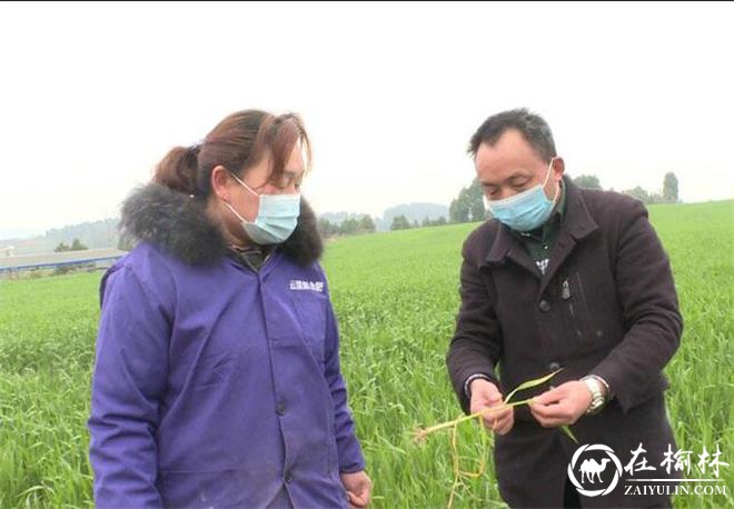 农技员指导春耕