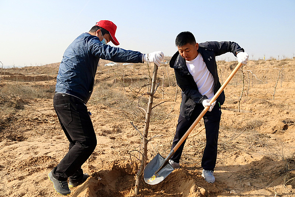 榆阳区：不负四月好春光 义务植树添新绿