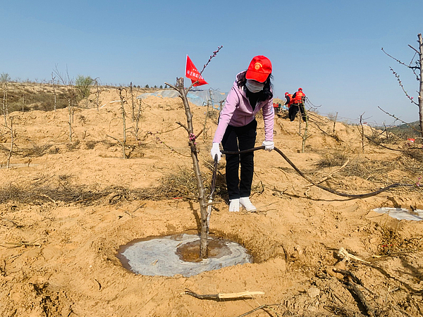榆阳区：不负四月好春光 义务植树添新绿