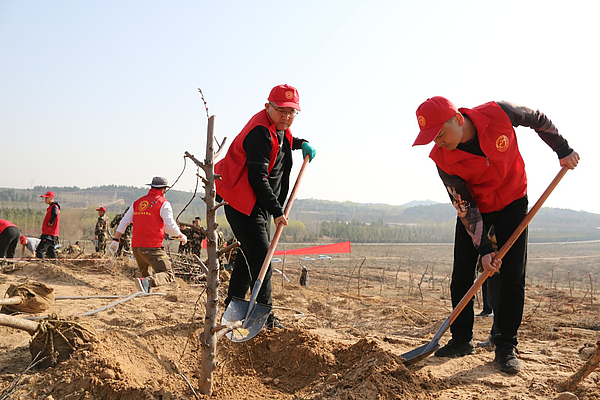 榆阳区：不负四月好春光 义务植树添新绿