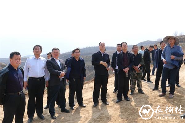 米脂县召开重点区域绿化造林推进会