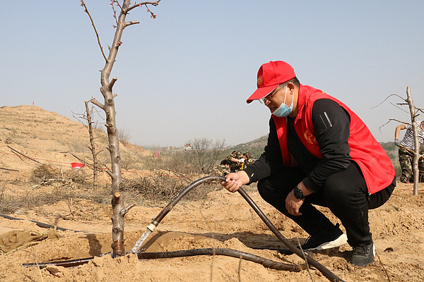 榆阳区：不负四月好春光 义务植树添新绿