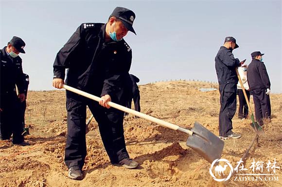 榆阳公安防火护林与植树造林同为守护一片蓝天净土