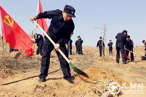 榆阳公安防火护林与植树造林同为守护一片蓝天净土