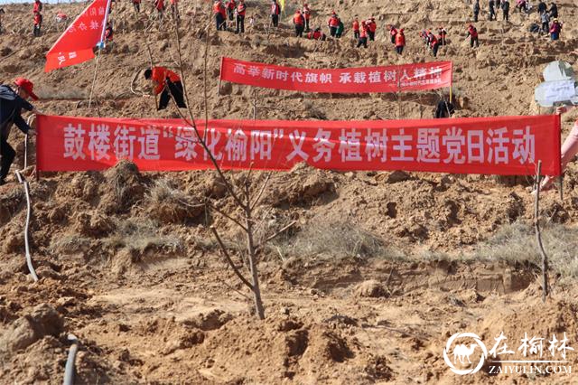 榆阳区鼓楼街道义务植树共建绿色和谐家园