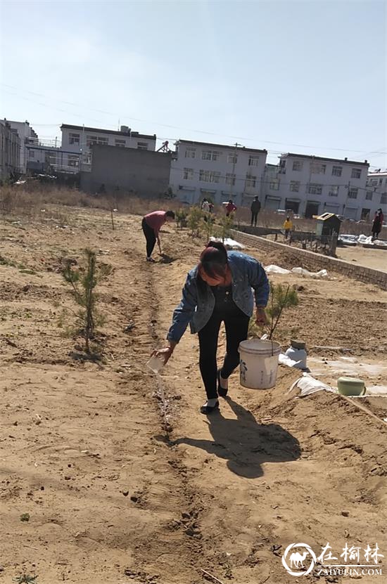 驼峰办兴中路社区：种花植绿正当时，环境整治促提升
