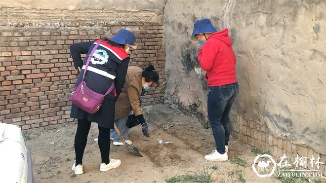 驼峰办兴中路社区：种花植绿正当时，环境整治促提升