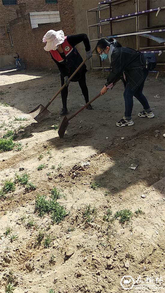 驼峰办兴中路社区：种花植绿正当时，环境整治促提升