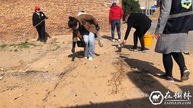 驼峰办兴中路社区：种花植绿正当时，环境整治促提升