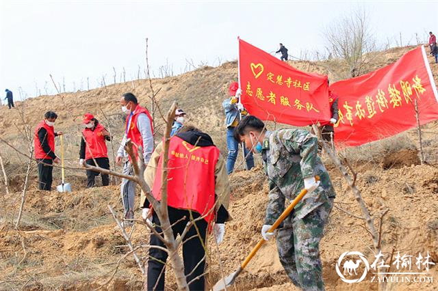 志愿服务队造林绿化