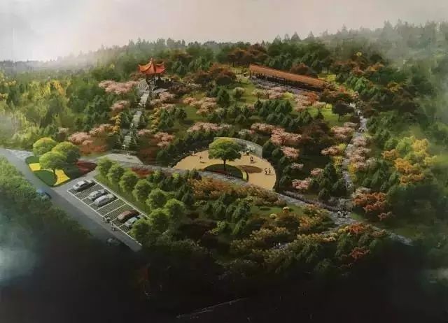 神木市九龙山森林公园（资料图）