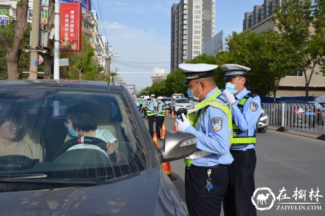 民警依法查处不系安全带行为