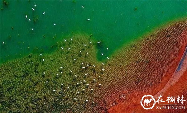 榆林神木6景 让你体验北国边塞风情