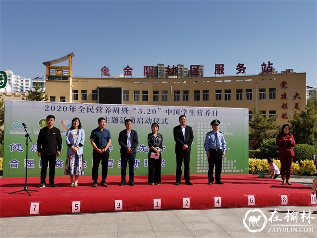 驼峰办金阳社区组织开展2020年全民营养周暨“5.20”学生营养日主题宣传活动启动仪式