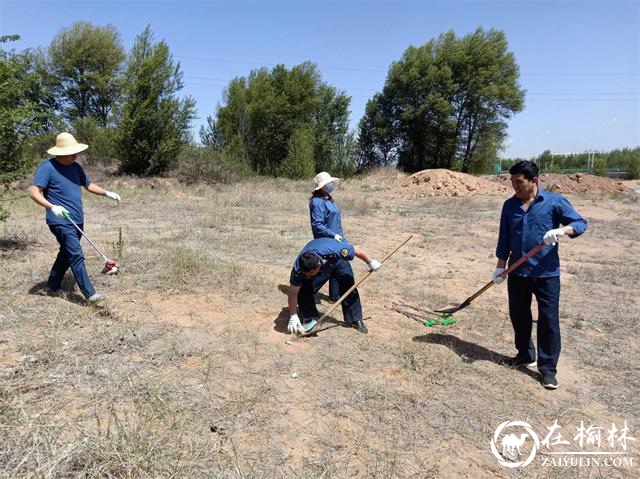 古城滩超限检测站开展站区环境卫生清理行动