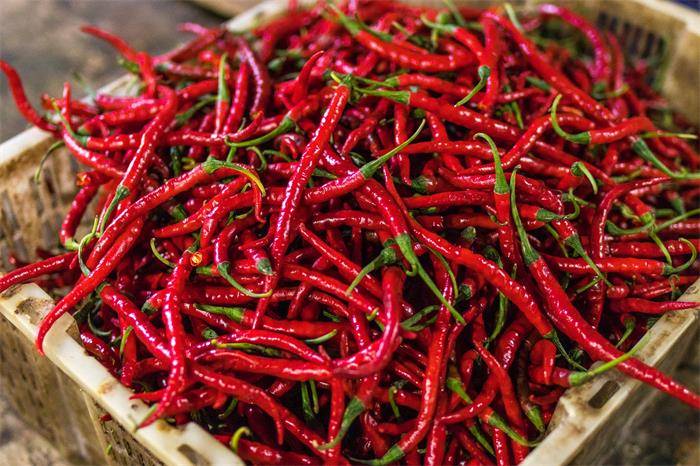 辣椒为什么是辣的？吃辣椒真的能长寿吗？