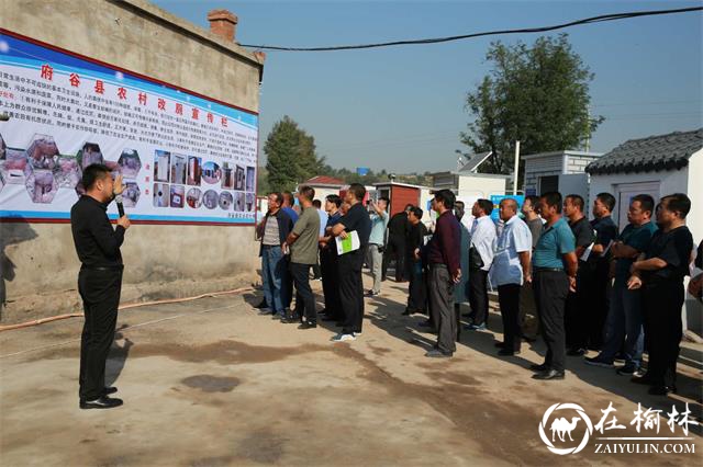 府谷县“厕所革命”按下快进键 谱写美丽乡村新篇章