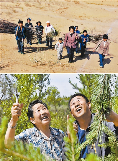 上图：1985年春，陕西省榆林市靖边县牛玉琴一家人肩扛背驮树苗行走在沙地中。 新华社发（田捷摄） 下图：2020年5月23日，牛玉琴（左）与儿子张立强在查看十年前嫁接成功的樟子松林。牛玉琴1985年起带领全家治沙11万亩，目前，她们一家一年获得的生态补偿及林下经济收入达80余万元。
