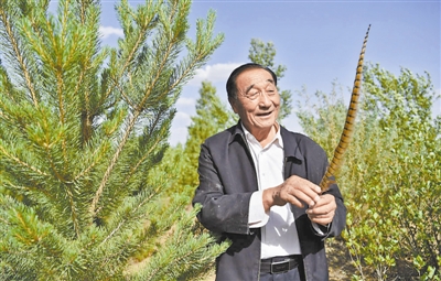 5月30日，石光银在自己治理的林子里捡到一根野鸡翎。他以联户治沙的方式，带领陕西定边海子梁乡村民将25万亩沙地变成了绿洲。目前，他的治沙集团有限公司一年的生态补偿及林下经济年收益达340多万元。