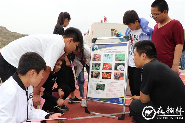 绥德县禁毒办开展禁毒宣传进校园活动