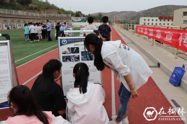 绥德县禁毒办开展禁毒宣传进校园活动