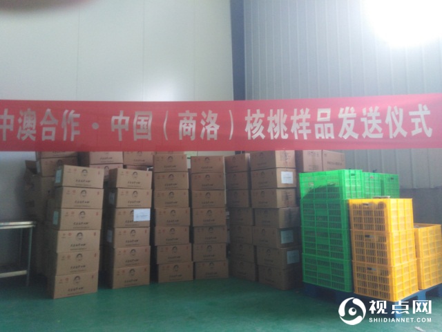 大秦岭牛伯伯商洛核桃研究样品今日发送乔治全球健康研究院