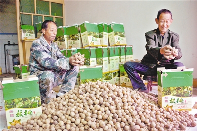 吃上产业饭 走上致富路——绥德县产业扶贫工作纪实