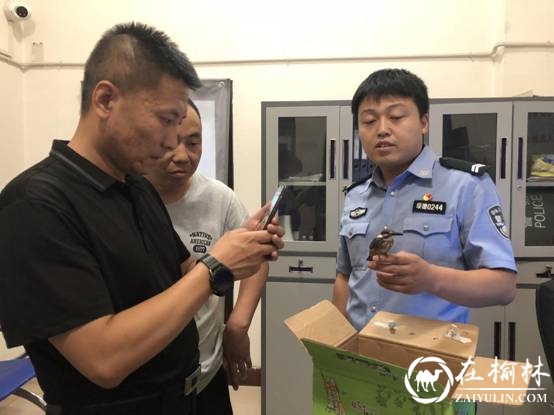 绥德公安城关派出所：爱心救助一只国家二级保护动物翠鸟