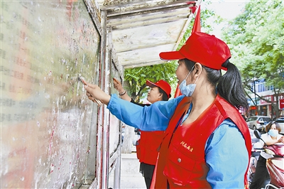 子洲县60余名志愿者清理“野广告”