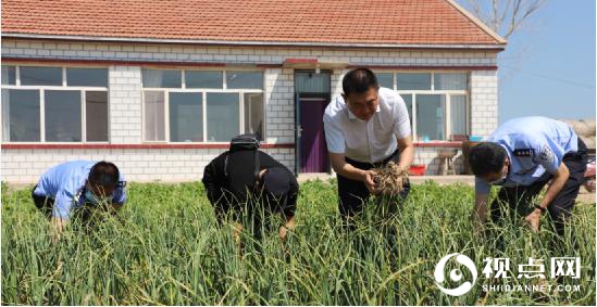 黑龙江省泰来县：庭院种植采摘忙 警民团结奔小康