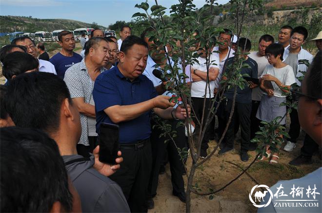 府谷县200名果农参加山地苹果实用技术集中培训