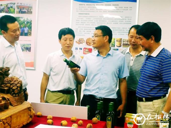 商洛市委常委、副市长胡宏一行深入商洛核桃主题馆调研