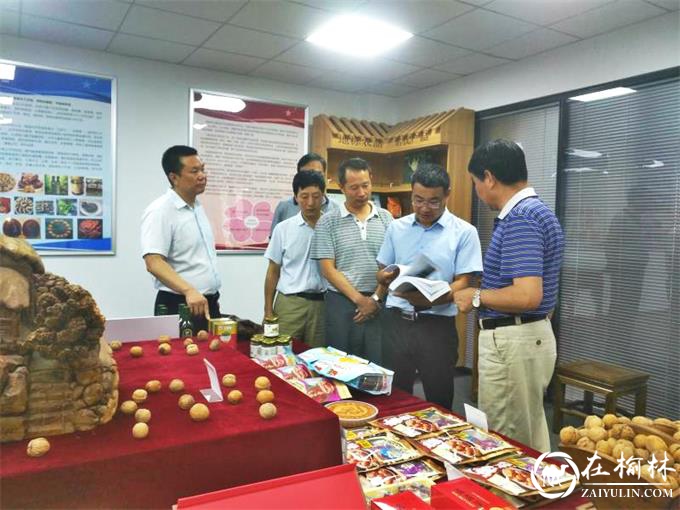 商洛市委常委、副市长胡宏一行深入商洛核桃主题馆调研