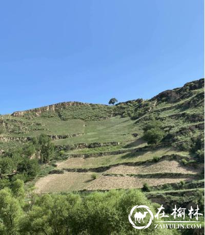 西安交通大学学子暑期赴榆林横山区社会实践感悟