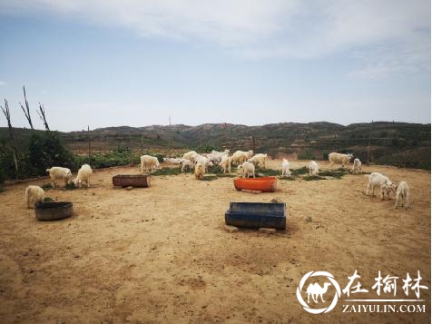 西安交通大学学子暑期赴榆林横山区社会实践感悟
