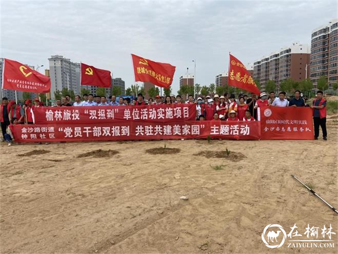 榆阳区金沙办钟阳社区90余人开展空闲地绿化植树活动