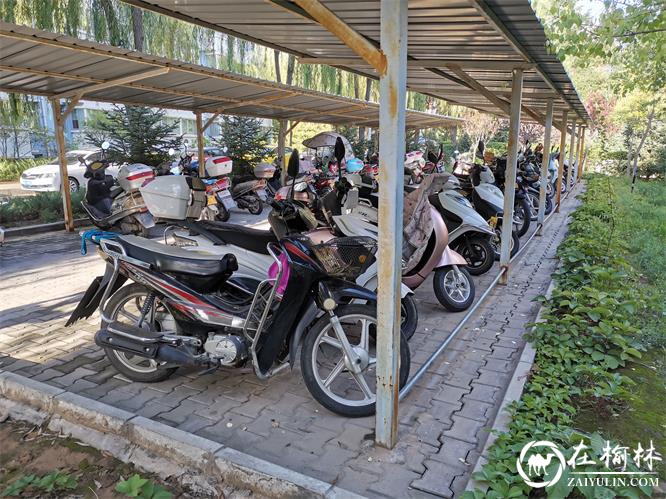 停车后整齐有序