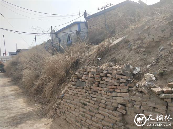 崇文办学院社区：“双报到”单位为社区微治理升级加力