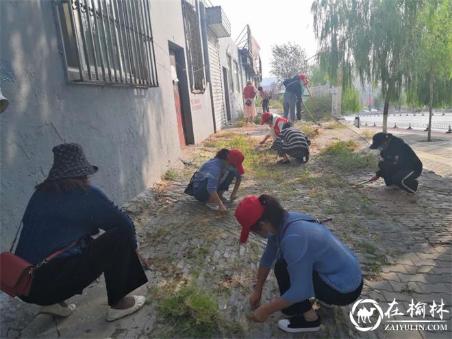 崇文办芹涧路社区集中整治再加力 巩固国卫见行动