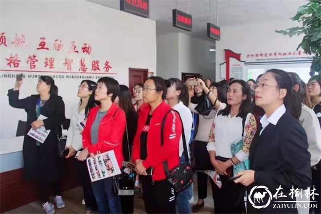 沙河路街道办兴达路社区组织召开妇女维权干部培训会