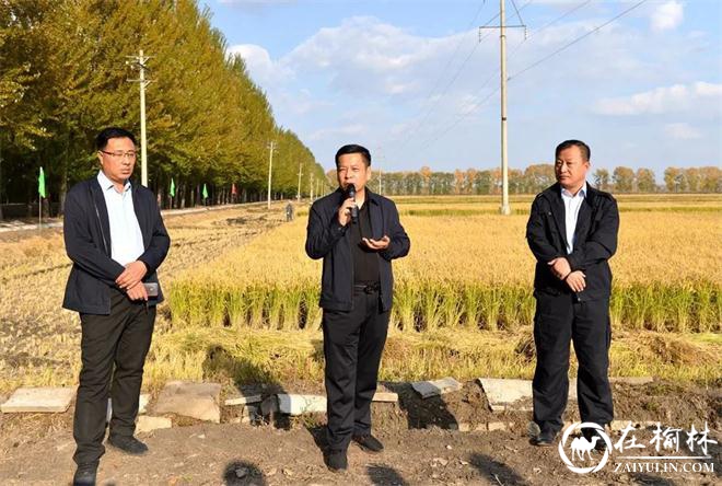 黑龙江垦区查哈阳农场召开秋收生产现场会