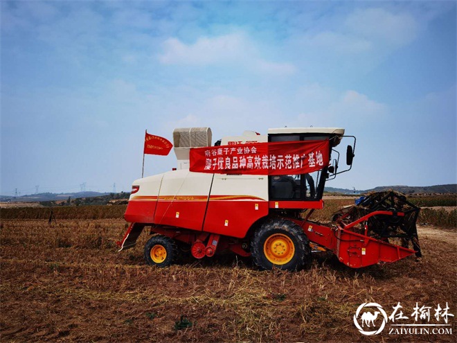 府谷县农村产品品种多样性已初具规模