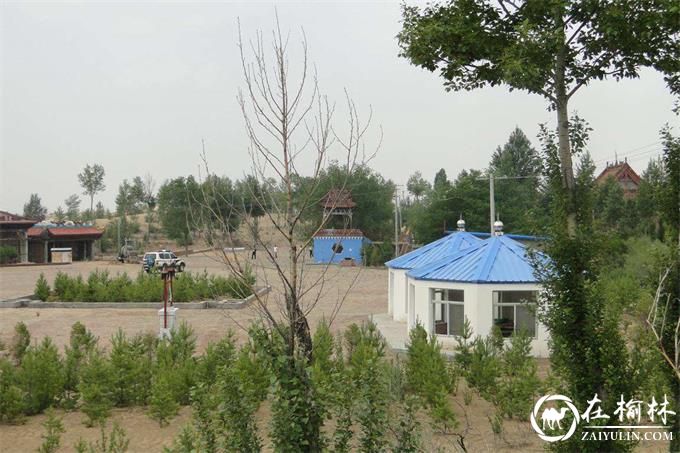 榆阳区补浪河乡入选第二批全国农业社会化服务典型案例 