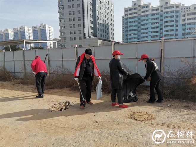 驼峰路街道望湖路社区联合“双报到”单位开展爱国卫生日活动