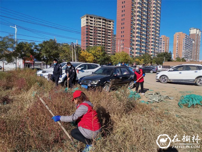 驼峰路街道望湖路社区联合“双报到”单位开展爱国卫生日活动