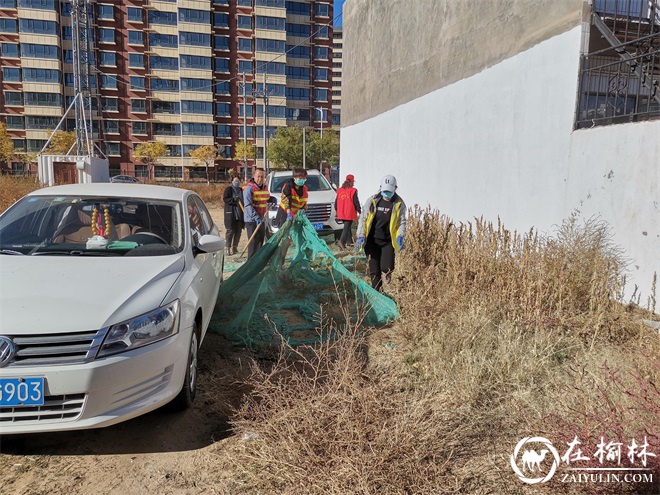 驼峰路街道望湖路社区联合“双报到”单位开展爱国卫生日活动