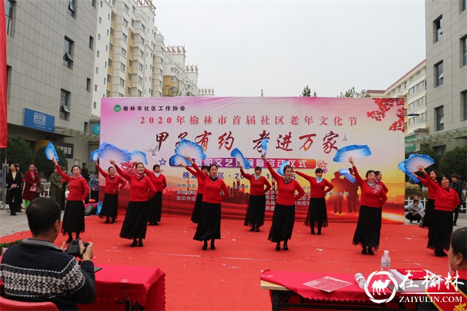 驼峰办桃源路社区举办首届老年文化节