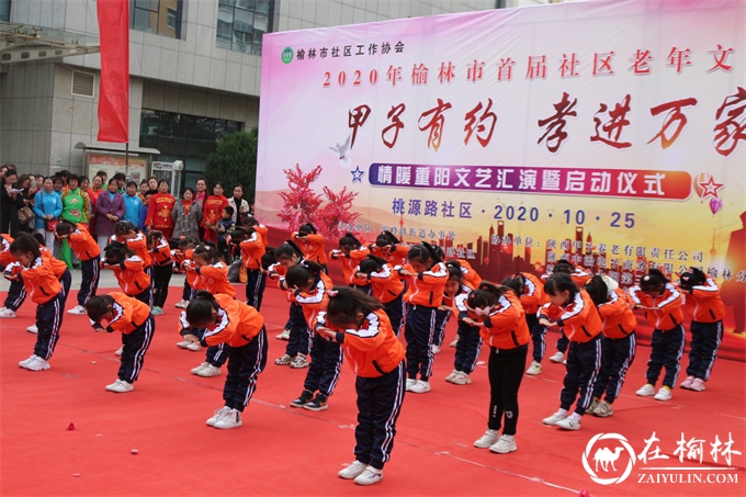 驼峰办桃源路社区举办首届老年文化节
