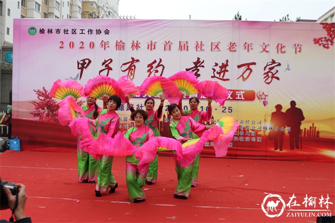 驼峰办桃源路社区举办首届老年文化节